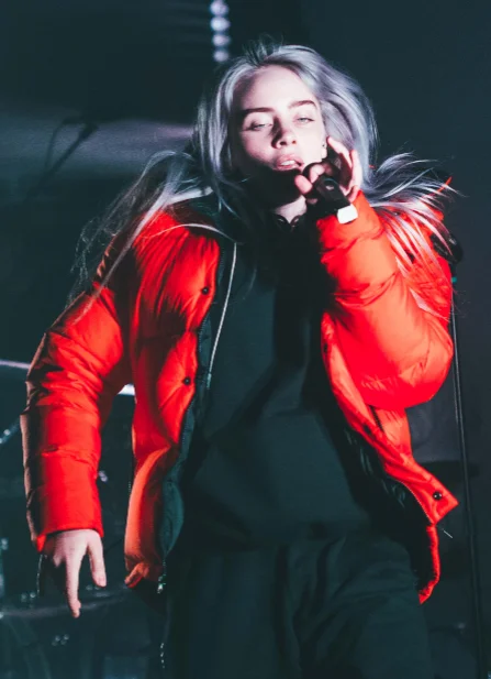 Billie Eilish Red Jacket Iron Safe Non-Iron Wrinkle Free